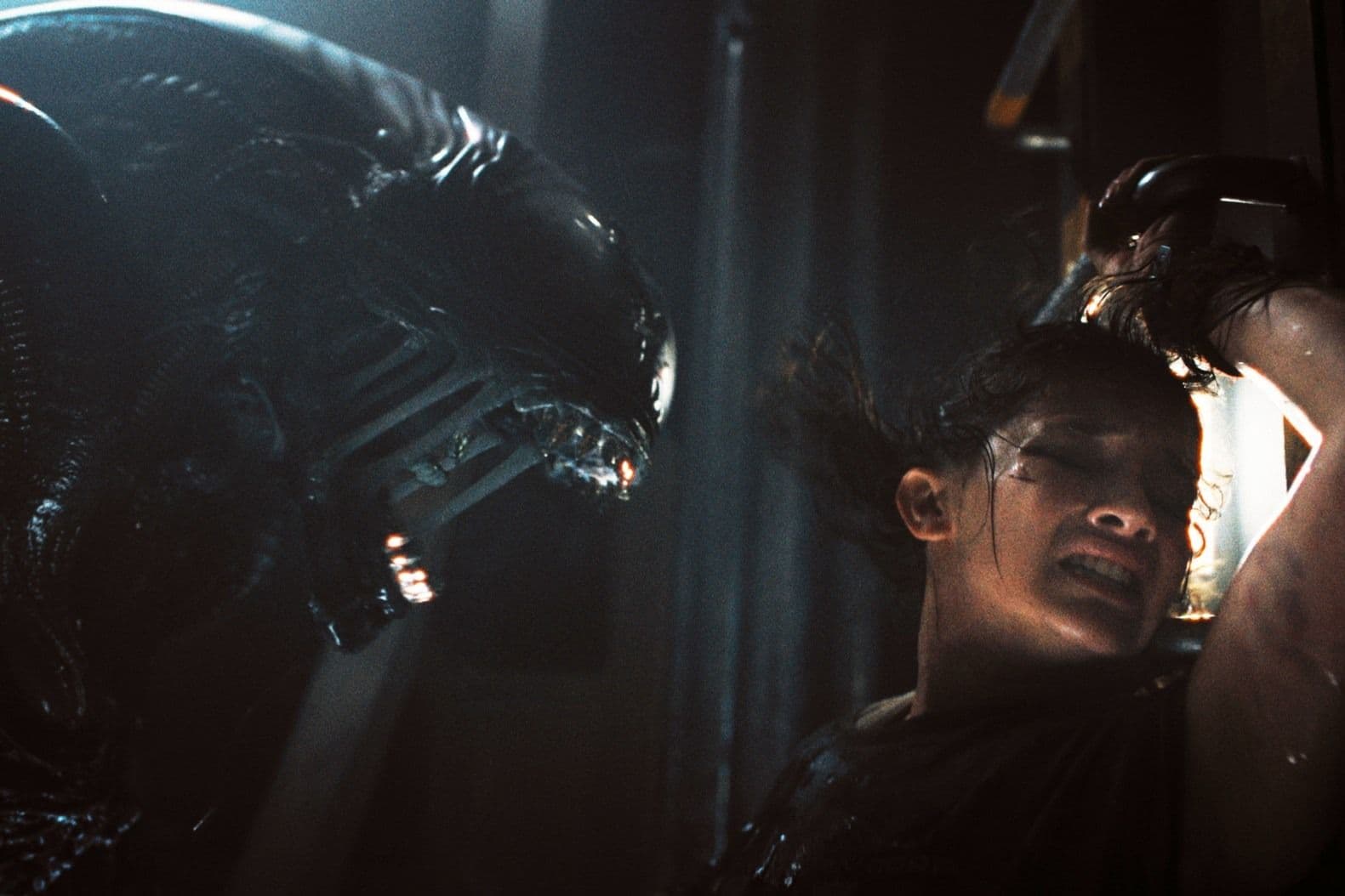Horror and Sci-Fi Fans Won't Want to Skip Alien: Romulus