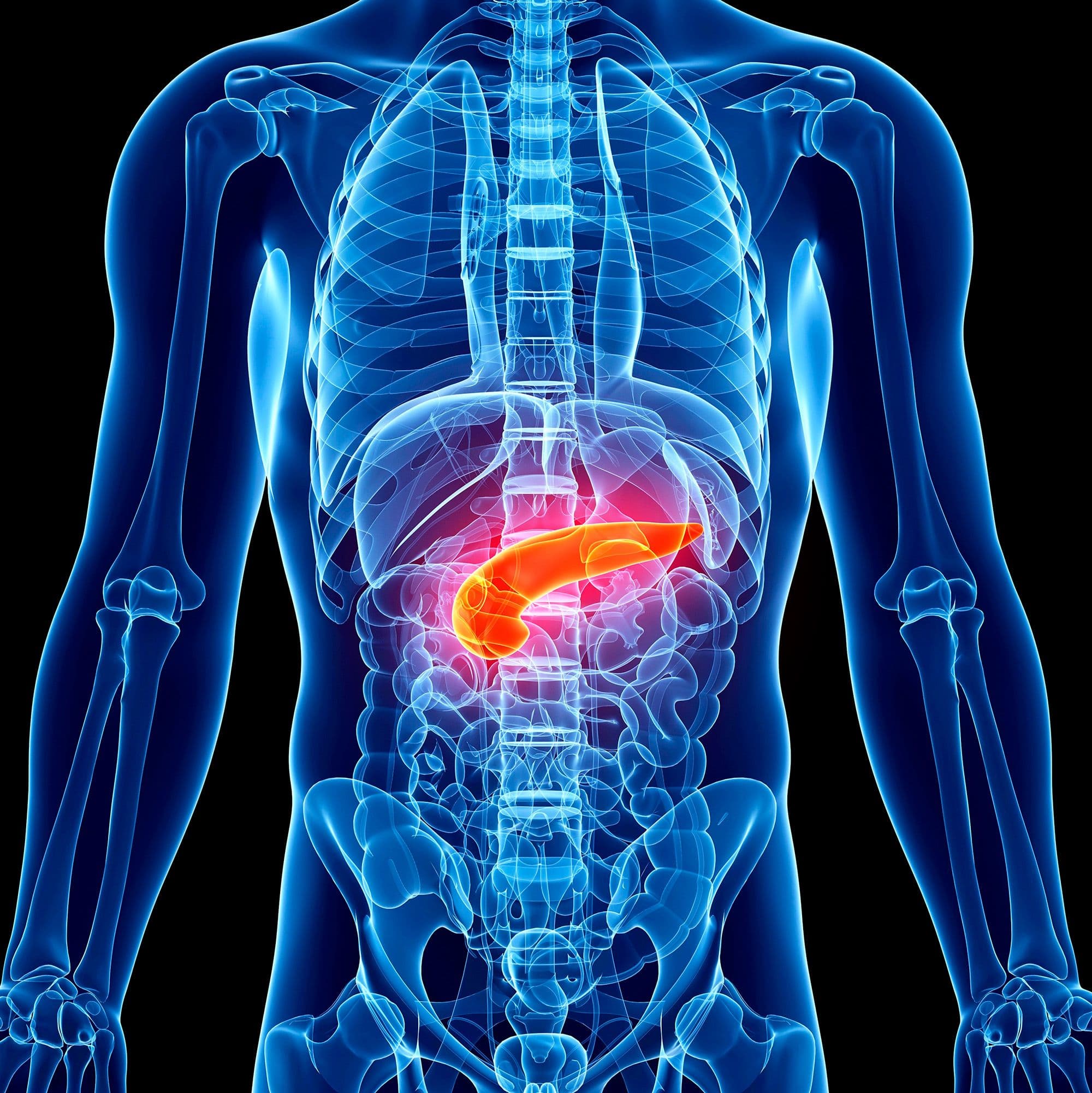 Your Pancreas Is More Important Than You Know