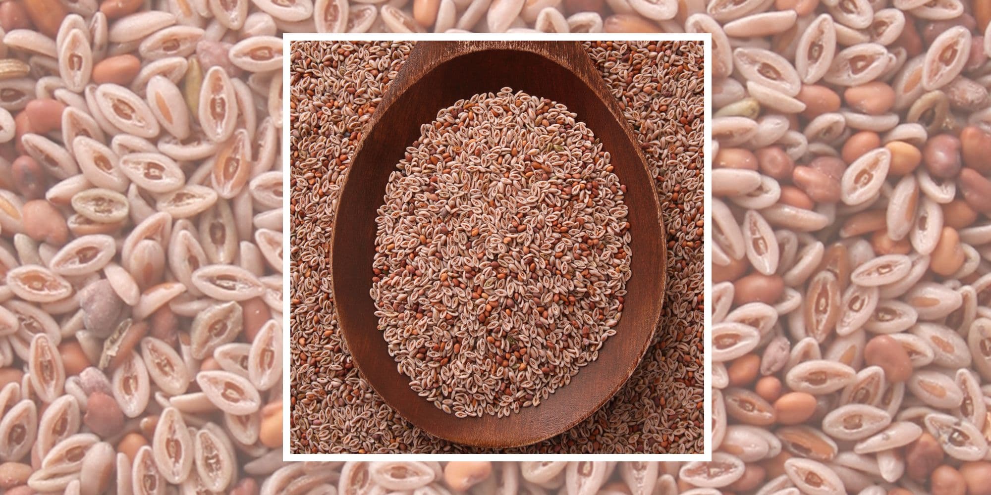 Is Psyllium Husk A Cheap Ozempic Alternative? Dietitians Weigh In