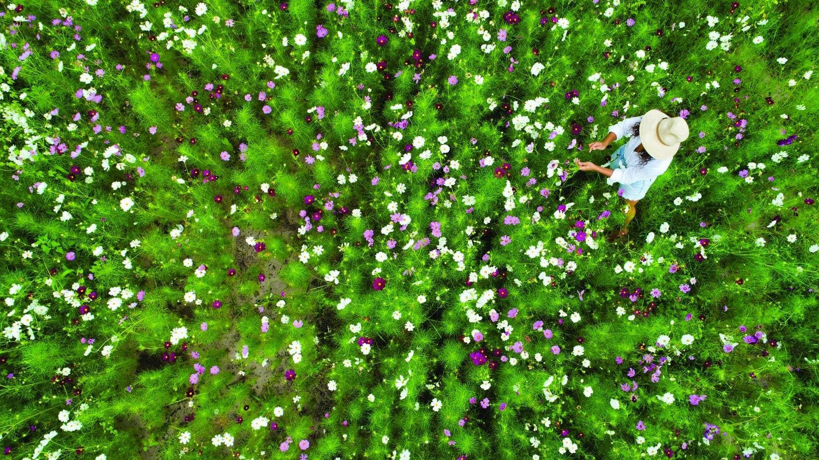 Why You Might Want To Add A Pollinator Garden To Your Home Space