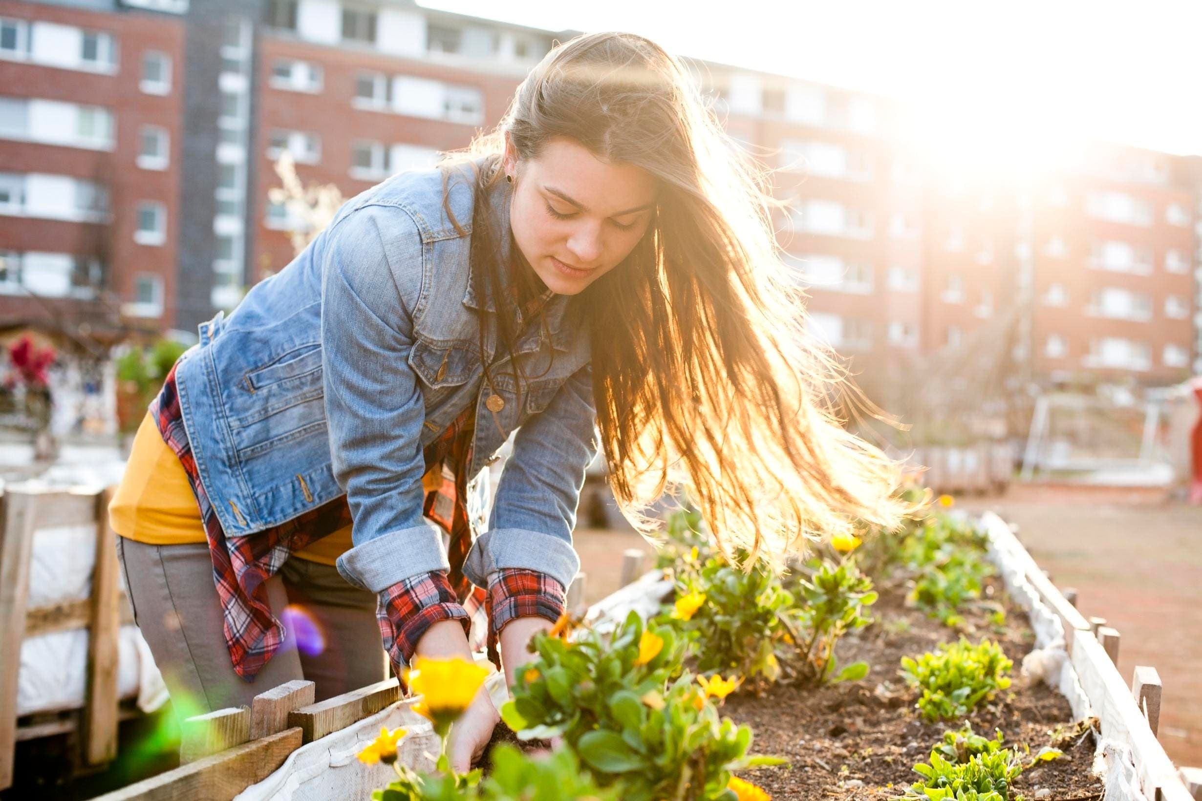Bringing Nature Home: How Biophilic Design Enhances Multifamily Life