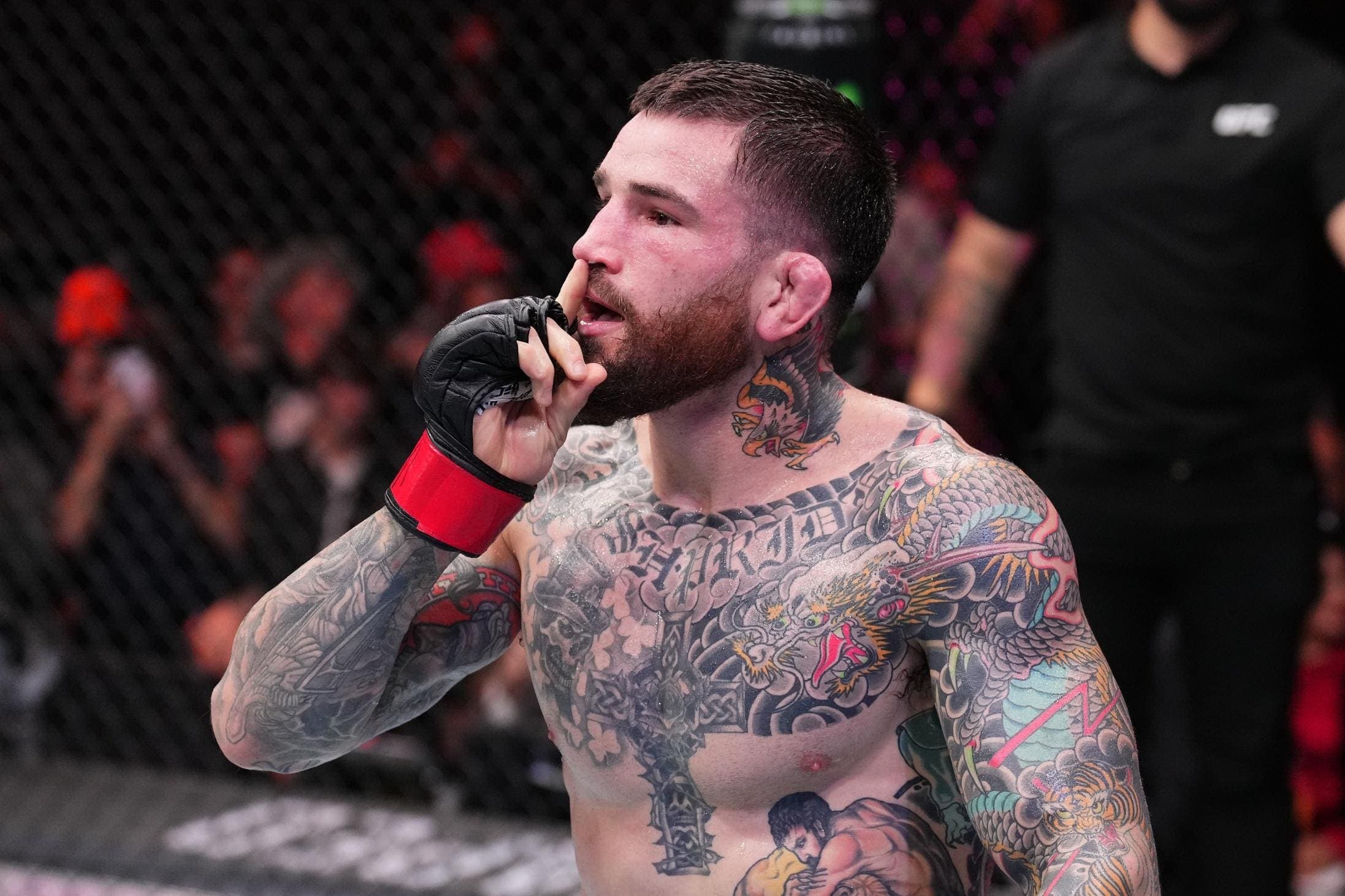 UFC Vegas 97: Date, Time, Card And How To Watch