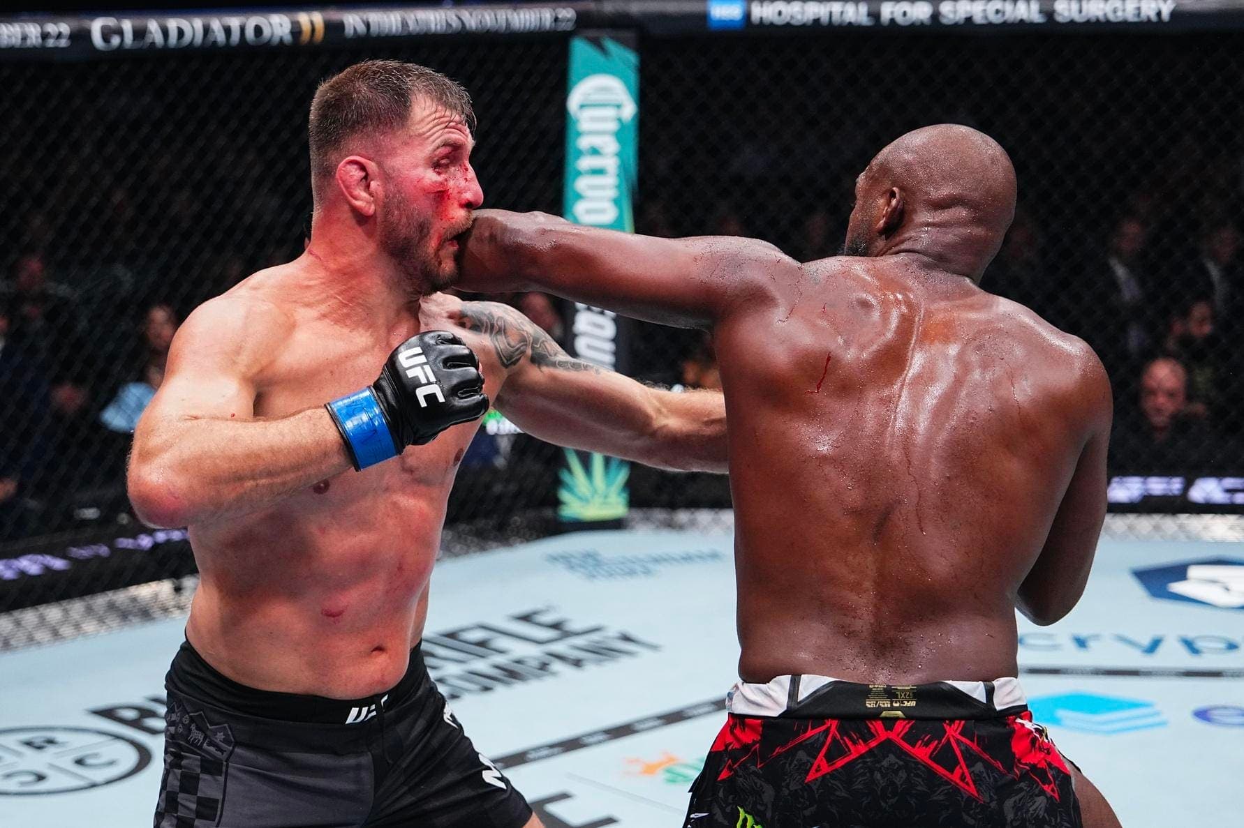 UFC 309 Results: Bonus Winners And Highlights