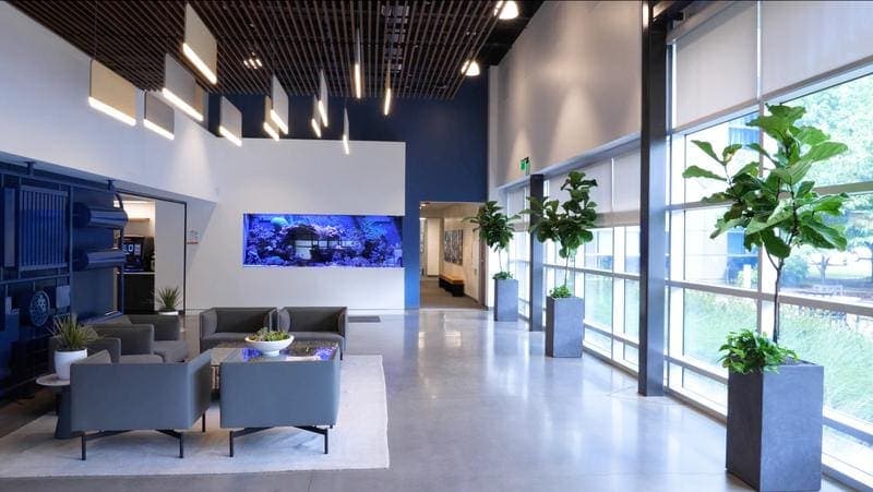 Workplaces Gaining Greater Exposure To Nature